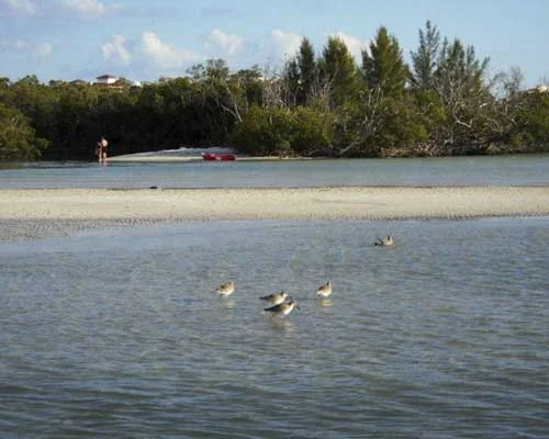 Guests shelling on an island beach